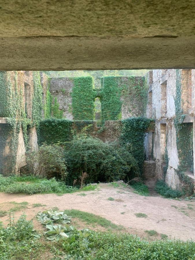 La Cabane De Piquet Le Tablier Exterior foto